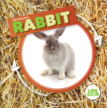 Paperback Life Cycle of a Rabbit Book