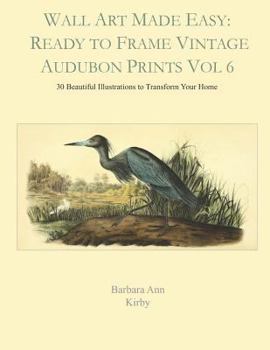 Paperback Wall Art Made Easy: Ready to Frame Vintage Audubon Prints Vol 6: 30 Beautiful Illustrations to Transform Your Home Book