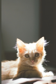 Kitten Journal: Blank Notebook with Lined Pages