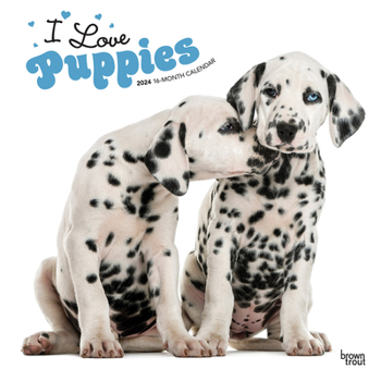 Calendar Puppies, I Love 2024 Square Book