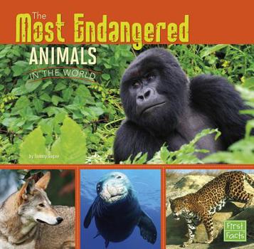 The Most Endangered Animals in the World - Book  of the All About Animals