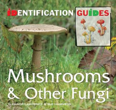 Paperback Mushrooms and Other Fungi Book