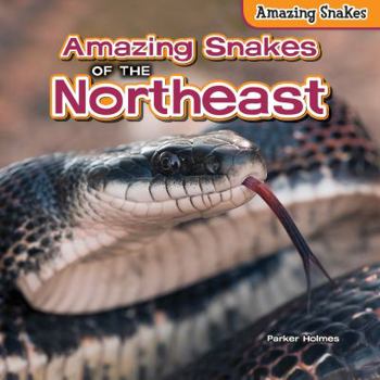 Library Binding Amazing Snakes of the Northeast Book