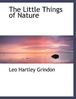 Paperback The Little Things of Nature [Large Print] Book