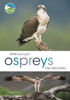 Paperback Rspb Spotlight Osprey Book