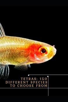 Paperback Tetras: 150 Different Species t&#1086; Choose From Book