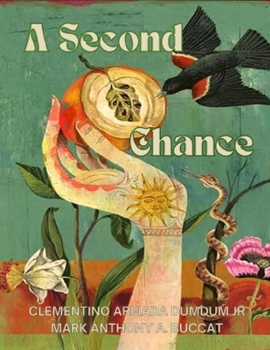 Paperback A Second Chance Book