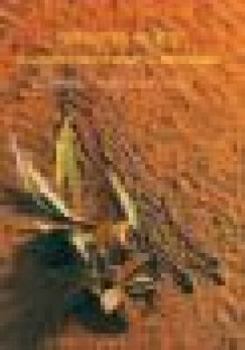 Paperback Telling our stories in ways that make us stronger Book