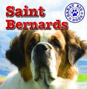 St. Bernards - Book  of the Great Big Dogs