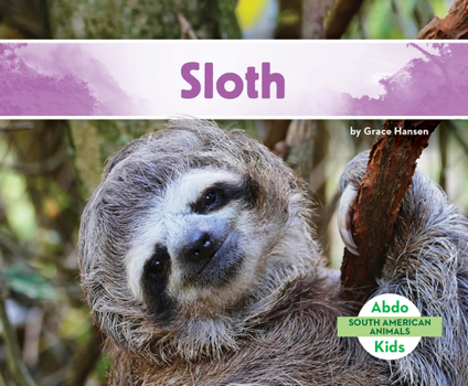 Library Binding Sloth Book