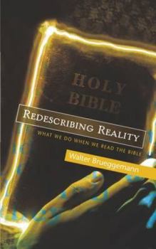 Paperback Redescribing Reality: What We Do When We Read the Bible Book