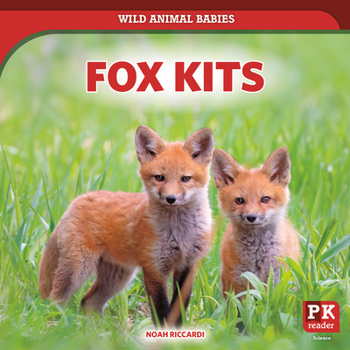 Paperback Fox Kits Book