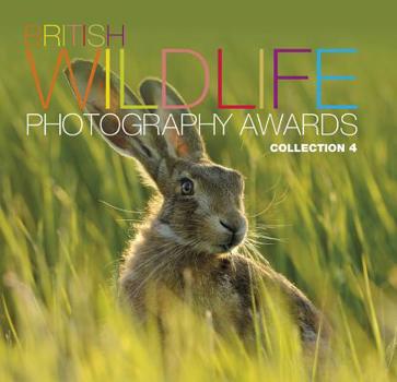 Hardcover British Wildlife Photography Awards: Collection 4 Book