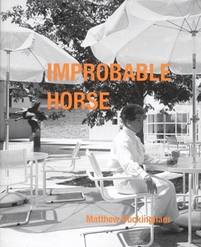 Paperback Matthew Buckingham: Improbable Horse Book