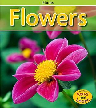 Paperback Flowers Book