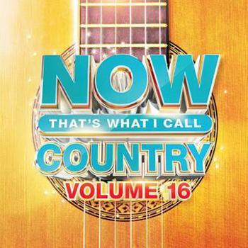 Music - CD NOW Country 16 Book