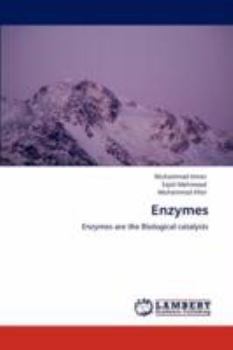 Paperback Enzymes Book
