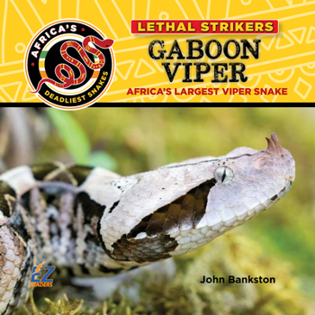 Hardcover Gaboon Viper: Africa's Largest Viper Snake Book