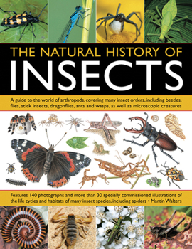 Paperback The Natural History of Insects: A Guide to the World of Arthropods, Covering Many Insect Orders, Including Beetles, Flies, Stick Insects, Dragonflies, Book