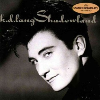 Vinyl Shadowland Book