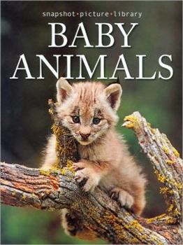 Hardcover Snapshot Picture Library Baby Animals by Weldon Owen (2007) Hardcover Book