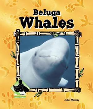 Library Binding Beluga Whales Book