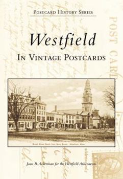 Paperback Westfield in Vintage Postcards Book