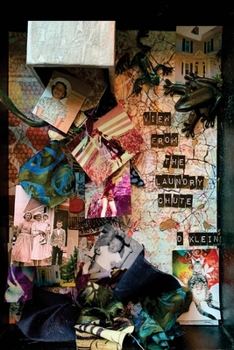 Paperback View from the Laundry Chute Book