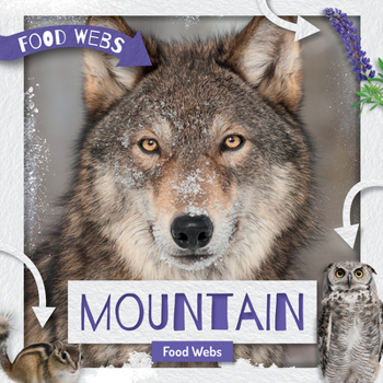 Mountain Food Webs