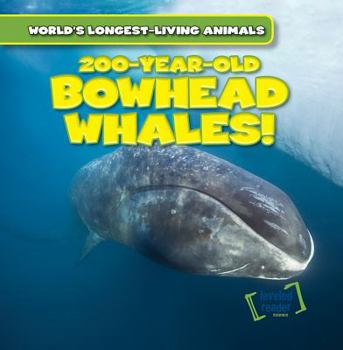 200-Year-Old Bowhead Whales! - Book  of the World's Longest-Living Animals