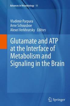 Paperback Glutamate and Atp at the Interface of Metabolism and Signaling in the Brain Book