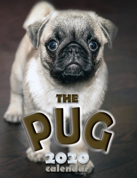 Paperback The Pug 2020 Calendar Book
