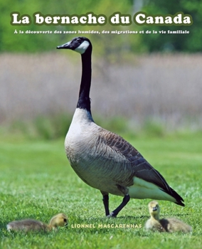 La bernache du Canada: À la découverte des zones humides, des migrations et de la vie familiale (French Edition)
