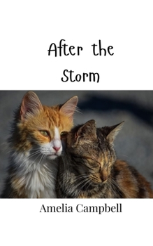 Paperback After the Storm Book