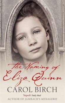 Paperback The Naming of Eliza Quinn Book
