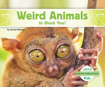 Library Binding Weird Animals to Shock You! Book