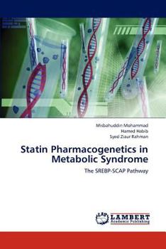 Paperback Statin Pharmacogenetics in Metabolic Syndrome Book