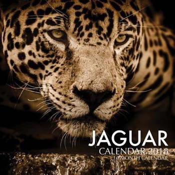 Paperback Jaguar Calendar 2018: 16 Month Calendar Book