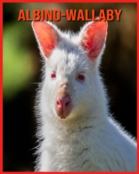 Albino-Wallaby: Unglaubliche Bilder und Wissenswertes ?ber Albino-Wallaby
