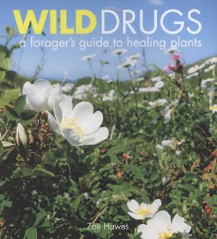 Paperback Wild Drugs: A Forager's Guide to Healing Plants Book