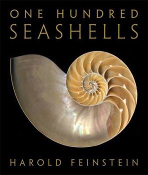 Hardcover One Hundred Seashells Book