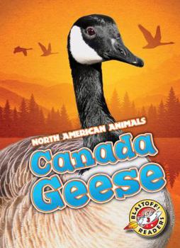 Canada Geese - Book  of the North American Animals
