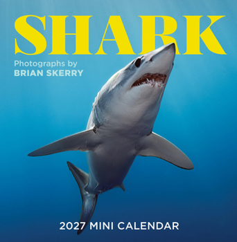 Mini-Disc Shark Mini Wall Calendar 2027 Book