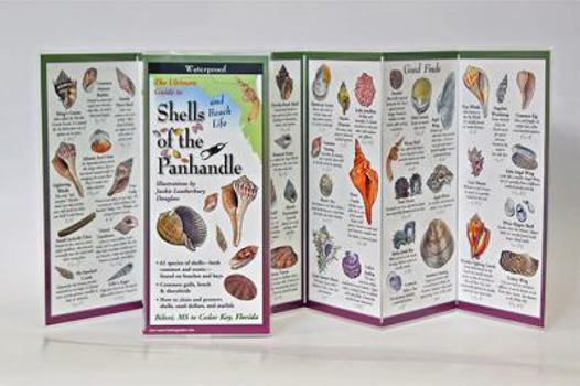 Paperback Shells of the Panhandle Book