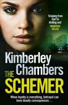 Paperback The Schemer Book