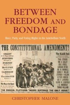 Paperback Between Freedom and Bondage: Race, Party, and Voting Rights in the Antebellum North Book