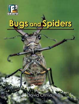Paperback Bugs and Spiders Book
