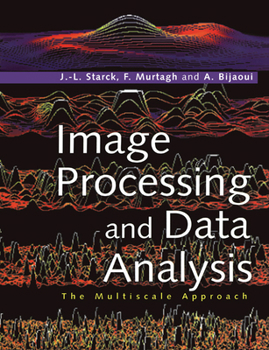 Paperback Image Processing and Data Analysis: The Multiscale Approach Book