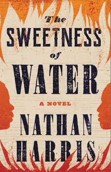 Hardcover The Sweetness of Water Book