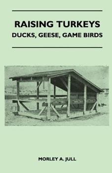 Paperback Raising Turkeys - Ducks, Geese, Game Birds Book